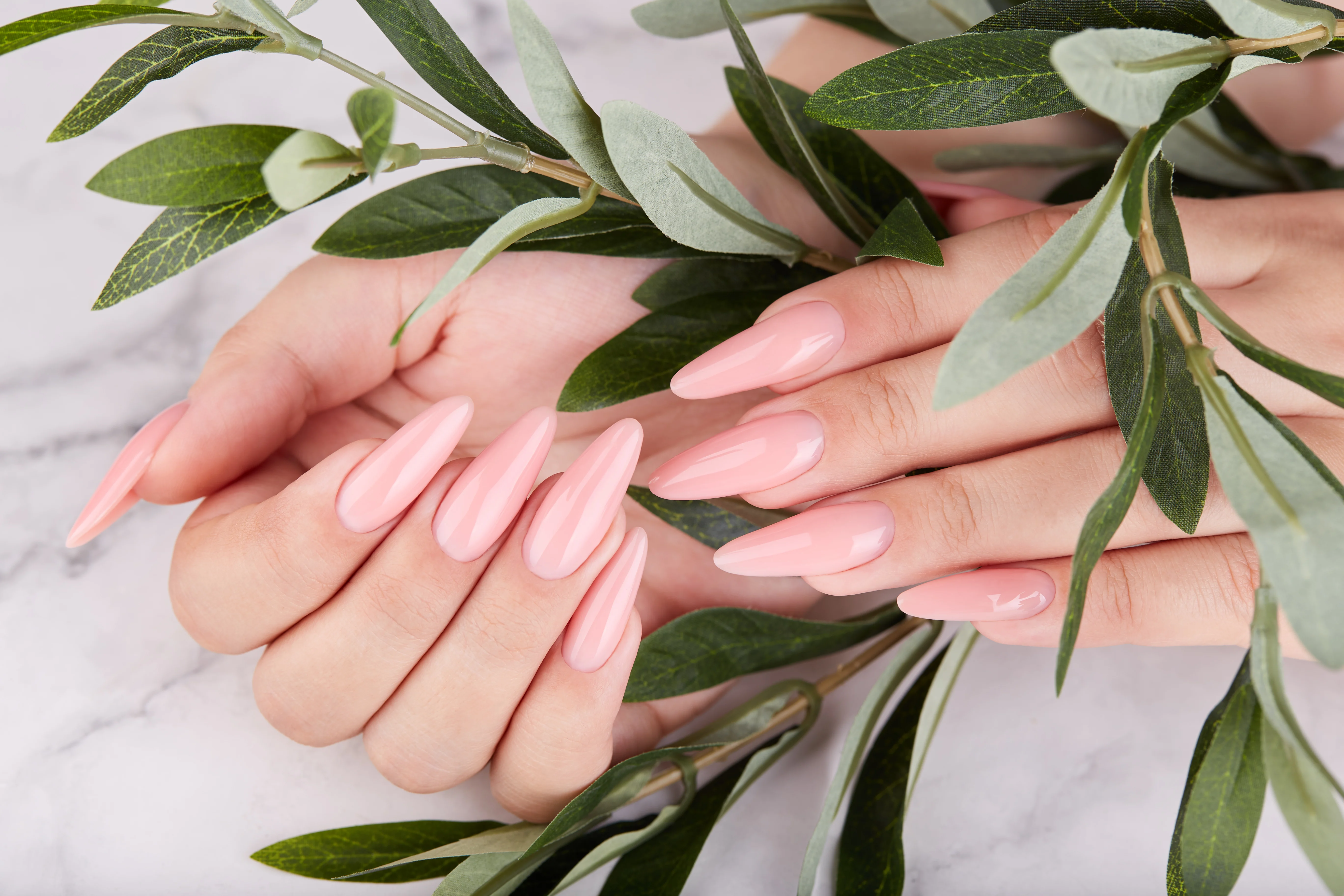 Long glossy pink nails resting among green leaves