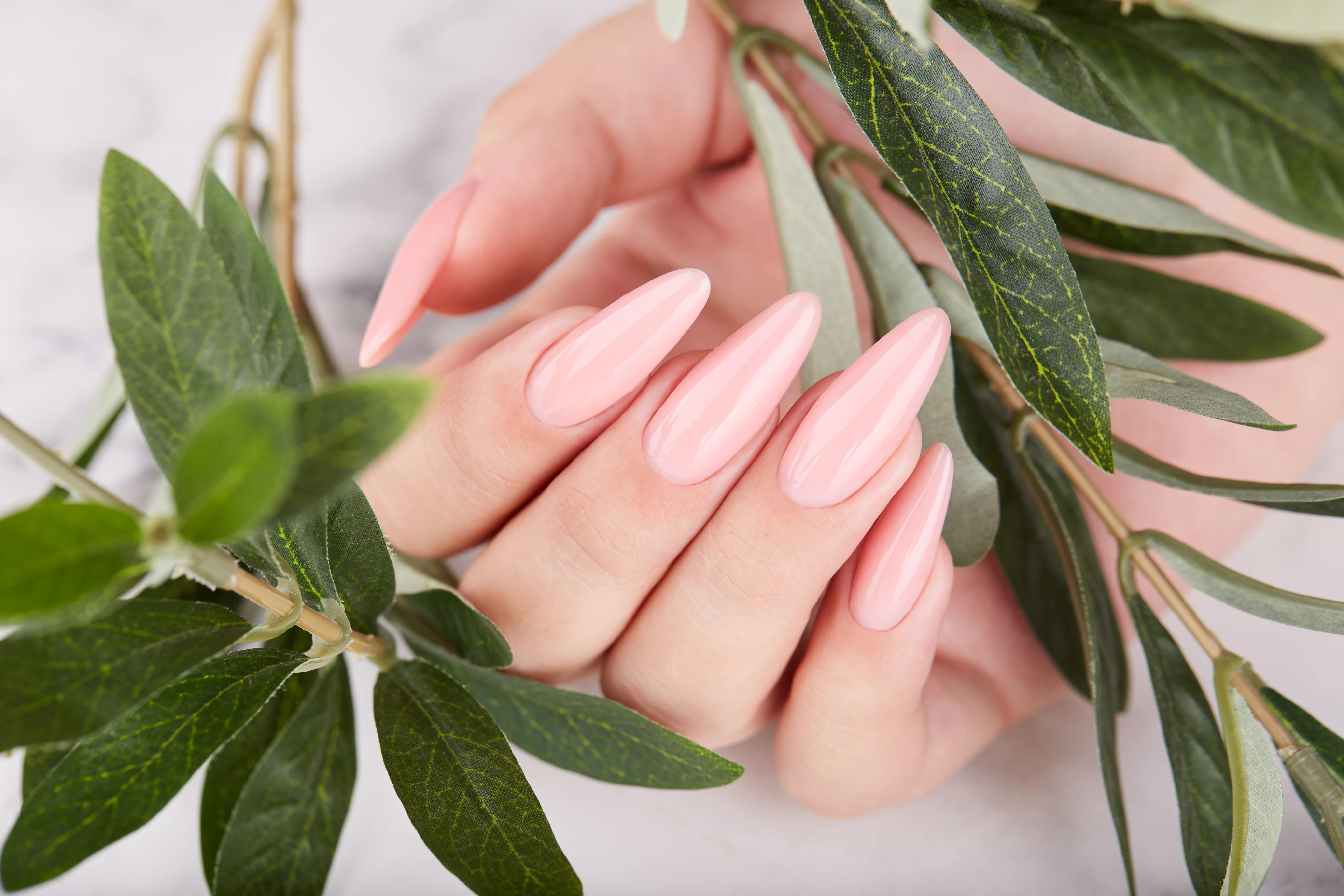 Close-up of glossy almond-shaped pink nails and green leaves